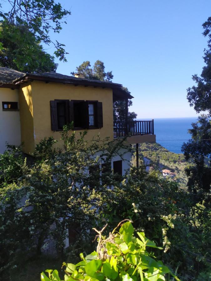 Apartments In Mylopotamos المظهر الخارجي الصورة