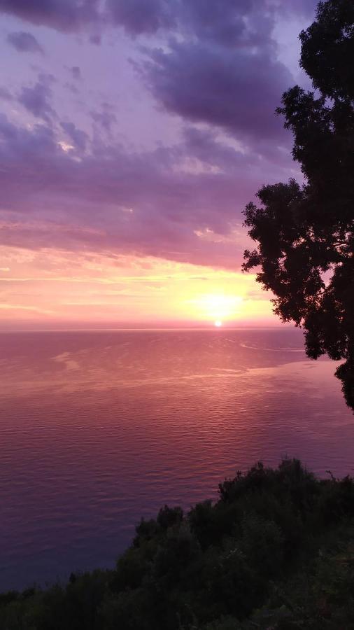 Apartments In Mylopotamos المظهر الخارجي الصورة